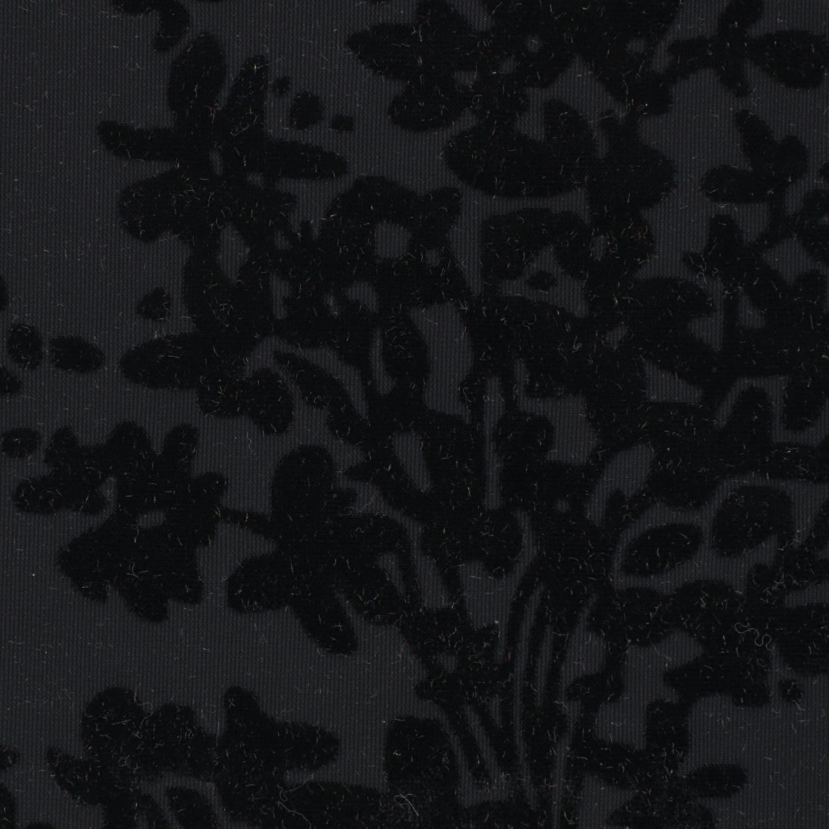 17003-03 Black Branches Burn-Out Ice Velvet Plain Dyed Blend abstract black blend burn-out ice knit nylon pattern plain dyed polyester spandex velvet Burn-Out, Velvet - knit fabric - woven fabric - fabric company - fabric wholesale - fabric b2b - fabric factory - high quality fabric - hong kong fabric - fabric hk - acetate fabric - cotton fabric - linen fabric - metallic fabric - nylon fabric - polyester fabric - spandex fabric - chun wing hing - cwh hk - fabric worldwide ship