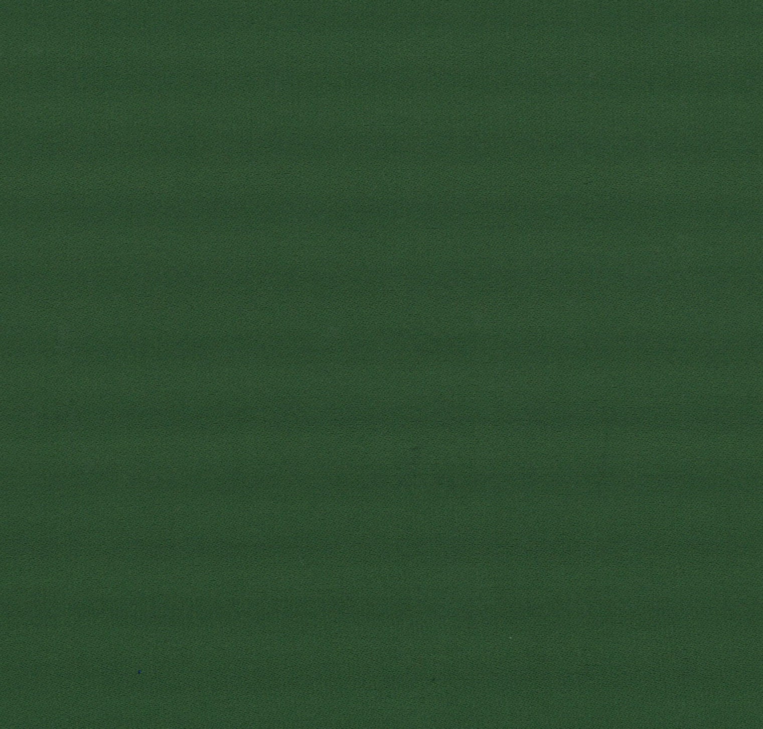 36033-03 Green Polyester Plain Dyed 233g/yd 56&quot; green plain dyed polyester woven Solid Color - knit fabric - woven fabric - fabric company - fabric wholesale - fabric b2b - fabric factory - high quality fabric - hong kong fabric - fabric hk - acetate fabric - cotton fabric - linen fabric - metallic fabric - nylon fabric - polyester fabric - spandex fabric - chun wing hing - cwh hk - fabric worldwide ship - 針織布 - 梳織布 - 布料公司- 布料批發 - 香港布料 - 秦榮興