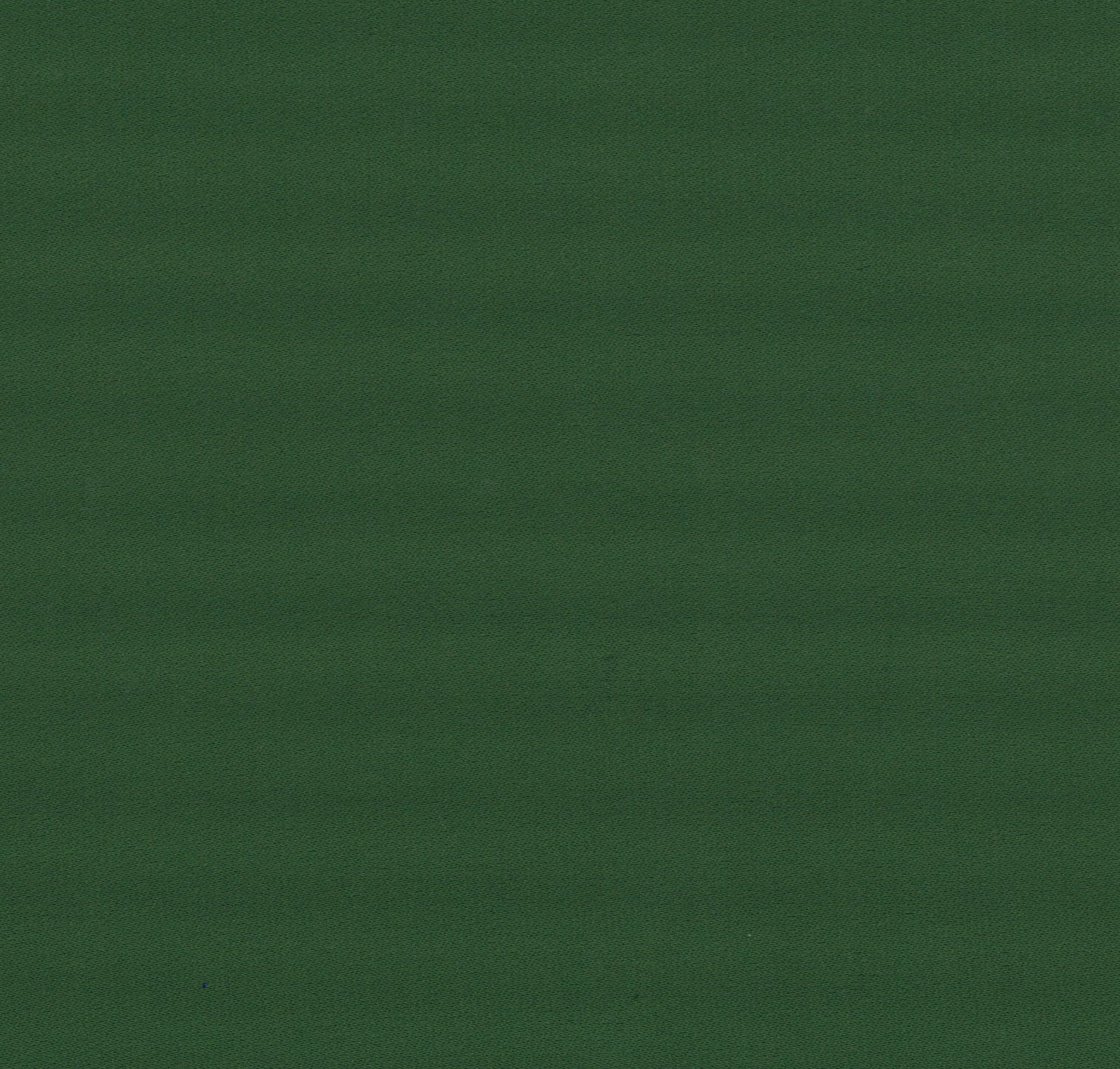 36033-03 Green Polyester Plain Dyed 233g/yd 56" green plain dyed polyester woven Solid Color - knit fabric - woven fabric - fabric company - fabric wholesale - fabric b2b - fabric factory - high quality fabric - hong kong fabric - fabric hk - acetate fabric - cotton fabric - linen fabric - metallic fabric - nylon fabric - polyester fabric - spandex fabric - chun wing hing - cwh hk - fabric worldwide ship - 針織布 - 梳織布 - 布料公司- 布料批發 - 香港布料 - 秦榮興
