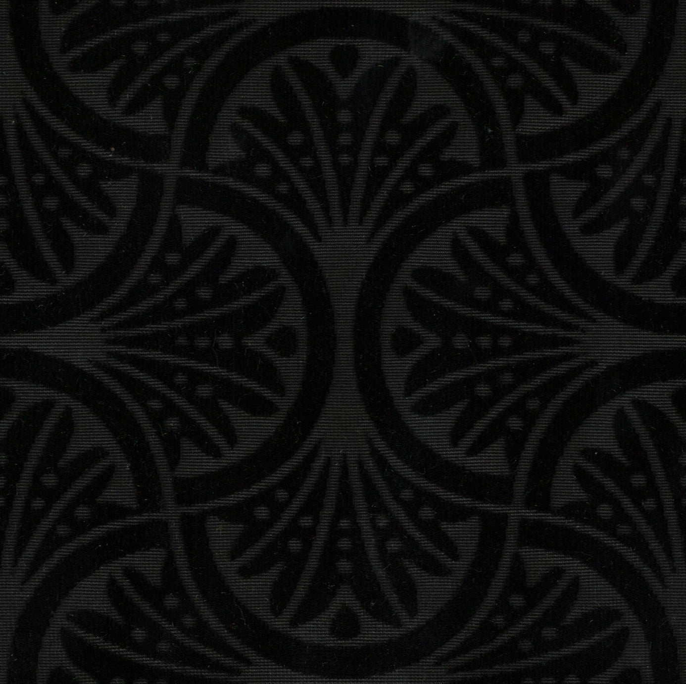 15005-03 Black Woven Ice Velvet Flower Burn-Out Plain Dyed Blend black blend burn-out flower nylon pattern plain dyed polyester spandex velvet woven Velvet, Burn-Out - knit fabric - woven fabric - fabric company - fabric wholesale - fabric b2b - fabric factory - high quality fabric - hong kong fabric - fabric hk - acetate fabric - cotton fabric - linen fabric - metallic fabric - nylon fabric - polyester fabric - spandex fabric - chun wing hing - cwh hk - fabric worldwide ship